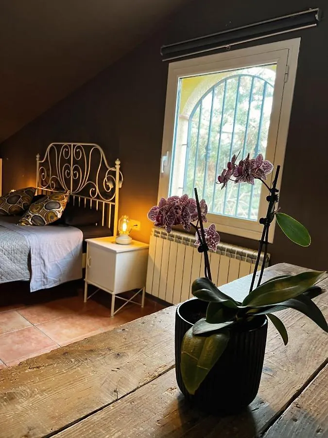 Costa Brava Quiet Villa With Private Pool And Jacuzzi Санта-Кристина-де-Аро 0*,