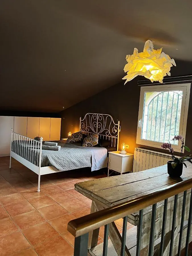 Costa Brava Quiet Villa With Private Pool And Jacuzzi 圣塔克里斯蒂纳阿鲁 西班牙