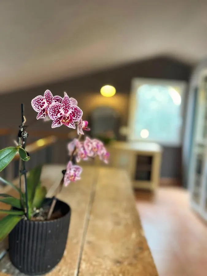 Costa Brava Quiet Villa With Private Pool And Jacuzzi 圣塔克里斯蒂纳阿鲁